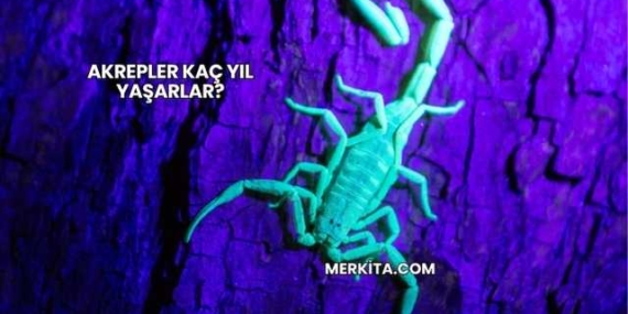 Akrepler Kaç Yıl Yaşarlar?