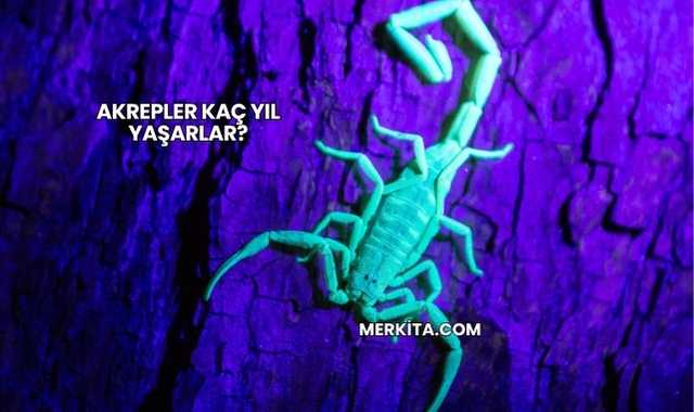 Akrepler Kaç Yıl Yaşarlar?