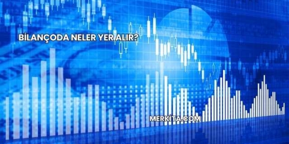 Bilançoda Neler Yer Alır?