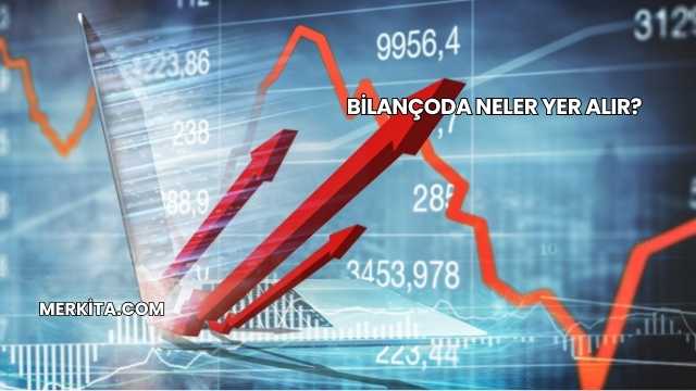 Bilançoda Neler Yer Alır?