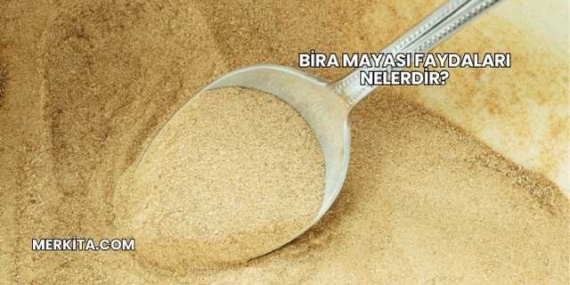 Bira Mayası Faydaları Nelerdir?