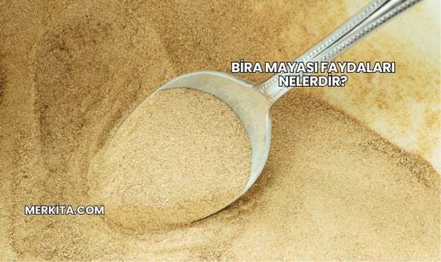Bira Mayası Faydaları Nelerdir?