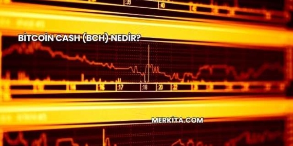 Bitcoin Cash (BCH) Nedir?