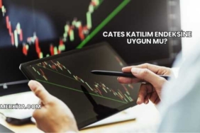 Cates Katılım Endeksine Uygun mu?