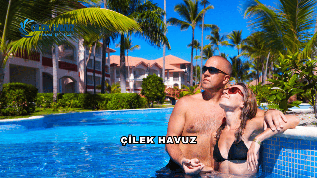 Çilek Havuz Hakkında