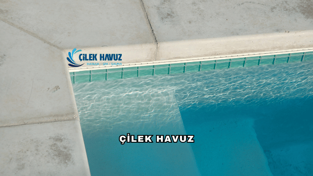 Çilek Havuz Hakkında