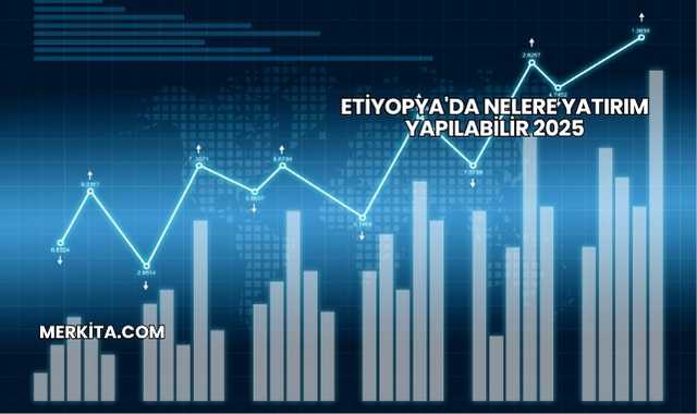 Etiyopya'da Nelere Yatırım Yapılabilir 2025