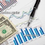Finansal Ajanda Nedir?