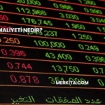 Fırsat Maliyeti Nedir?