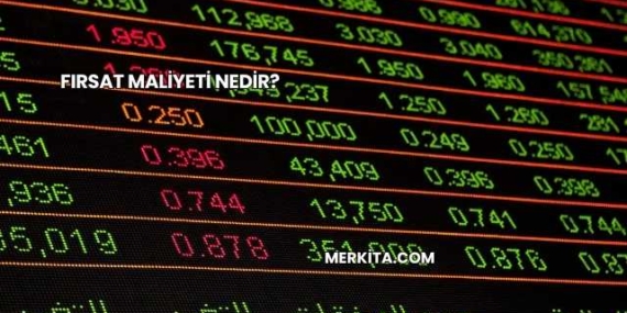 Fırsat Maliyeti Nedir?