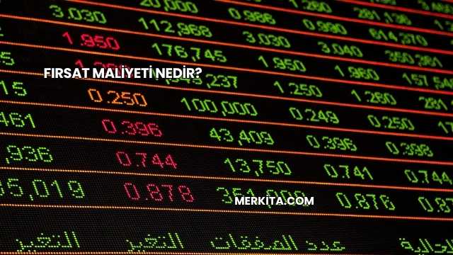 Fırsat Maliyeti Nedir?