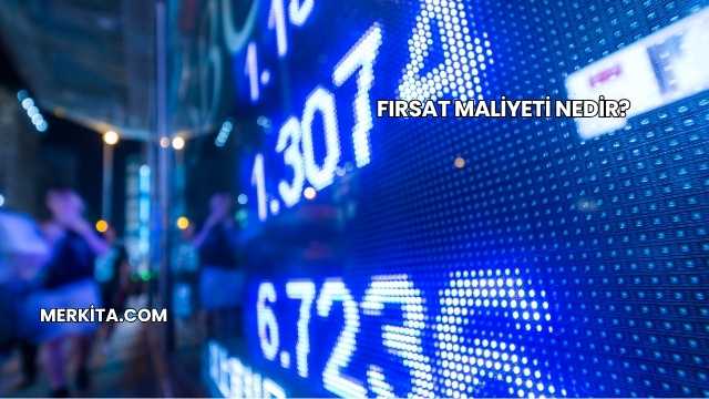 Fırsat Maliyeti Nedir?