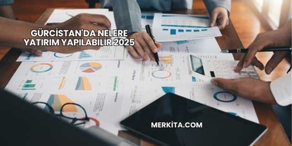 Gürcistan’da Nelere Yatırım Yapılabilir 2025