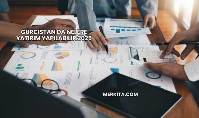 Gürcistan'da Nelere Yatırım Yapılabilir 2025