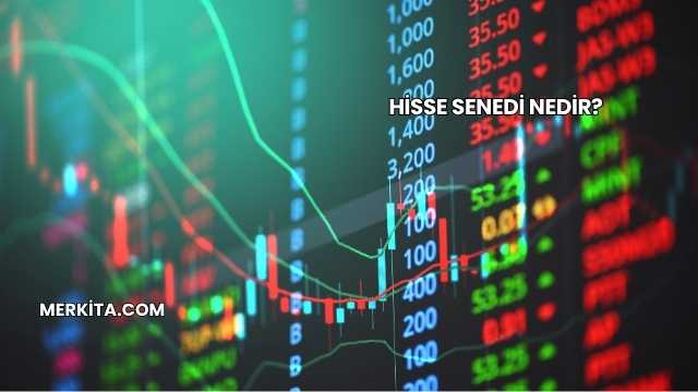 Hisse Senedi Nedir?