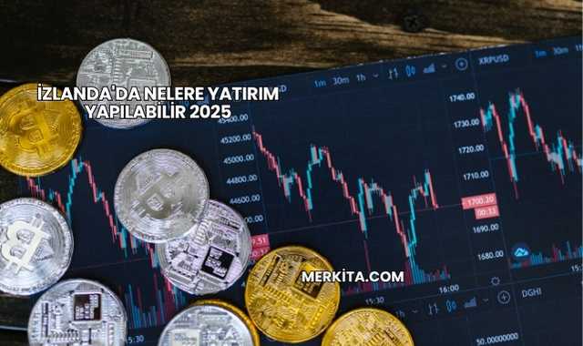 İzlanda'da Nelere Yatırım Yapılabilir 2025