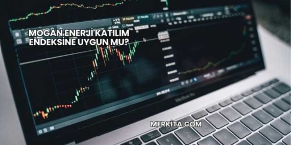 Mogan Enerji Katılım Endeksine Uygun mu?