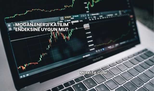 Mogan Enerji Katılım Endeksine Uygun mu?