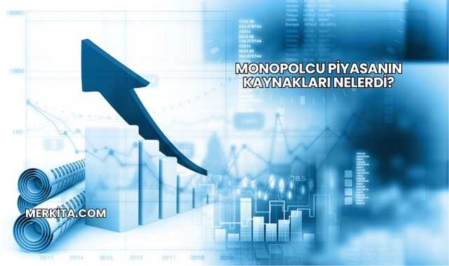 Monopolcu Piyasanın Kaynakları Nelerdi?