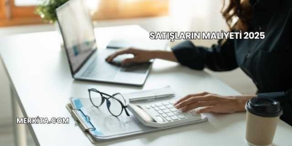 Satışların Maliyeti 2025