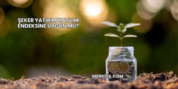 Şeker Yatırım Katılım Endeksine Uygun mu?