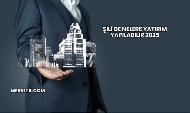 Şili'de Nelere Yatırım Yapılabilir 2025