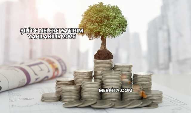 Şili'de Nelere Yatırım Yapılabilir 2025