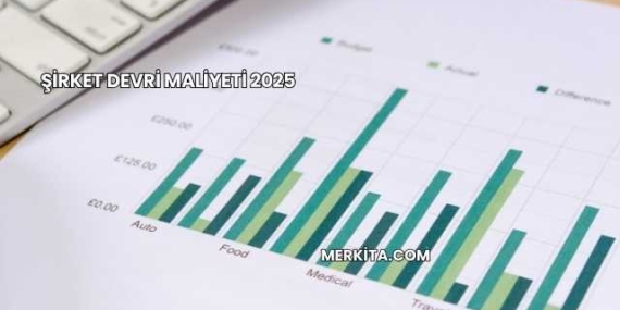 Şirket Devri Maliyeti 2025