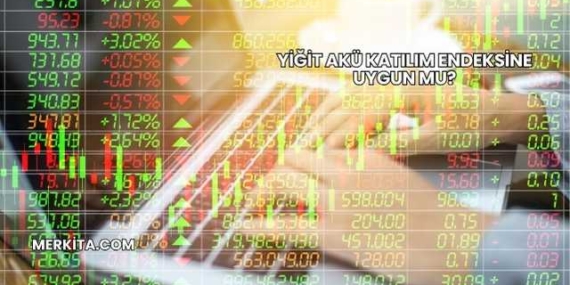 Yiğit Akü Katılım Endeksine Uygun mu?