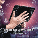 Google Bilgi Paneli Nedir?