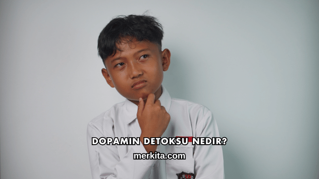 Dopamin Detoksu Nedir?