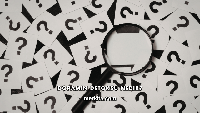Dopamin Detoksu Nedir?