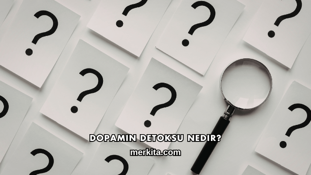 Dopamin Detoksu Nedir?