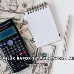 Günlük Rapor Tutmak Faydalı mı?