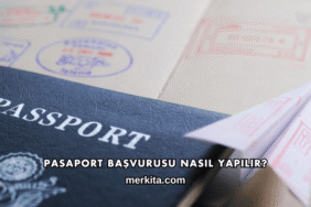Pasaport Başvurusu Nasıl Yapılır?